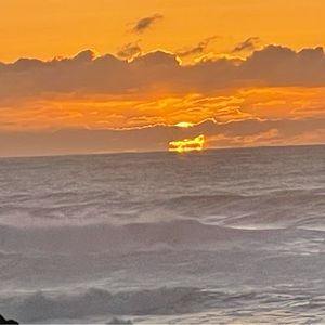 Meet your Posher, Johnny